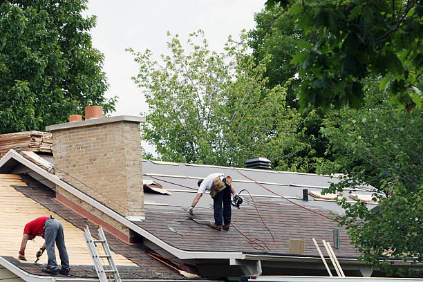 Best Roof Maintenance Services  in East Brooklyn, CT